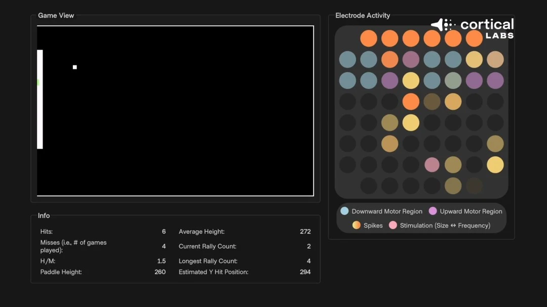 日本棒球名,人出轨风波,激怒公众,YY,米乐YY易游,米乐YY易游体育入口,米乐YY易游官网,米乐YY易游体育APP下载