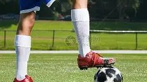 米乐YY易游体育